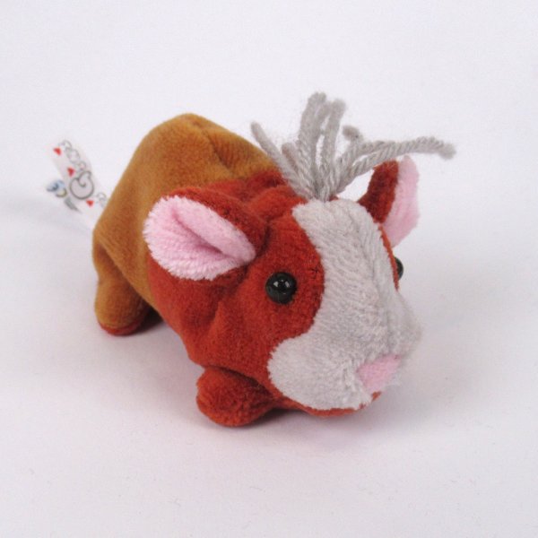 Meerschweinchen Jungtier