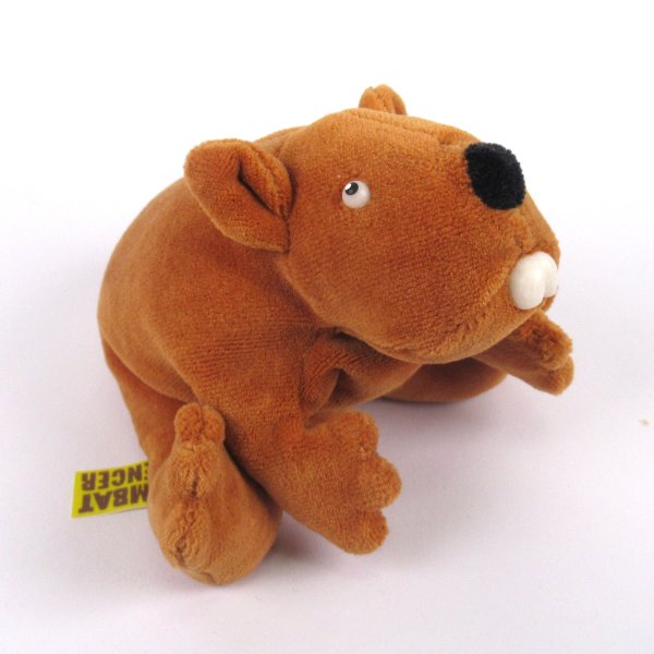 Wombat - Wombat Spencer