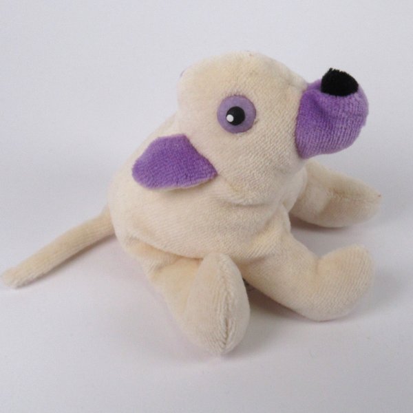 Chihuahua - Mein Schnuckiputz