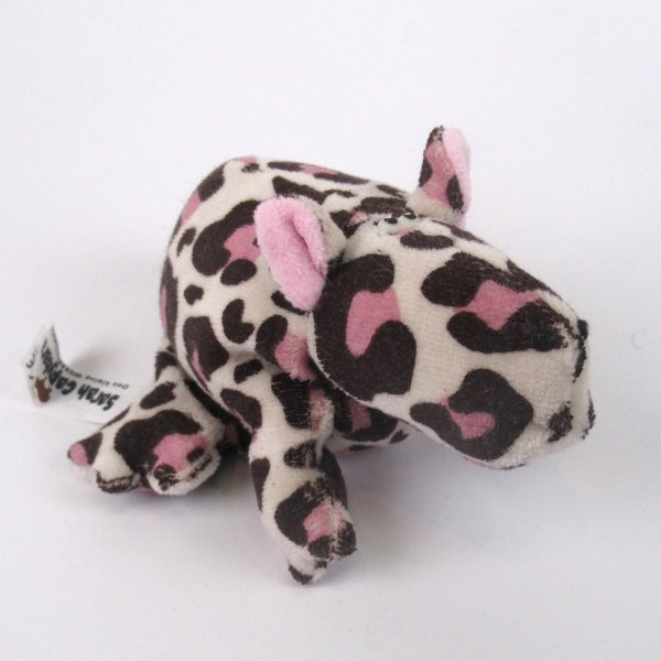 Capybara - Wasserschwein - Sarah Capybara