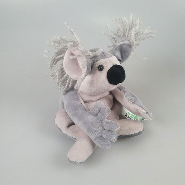 Koala - Klaus Tralien