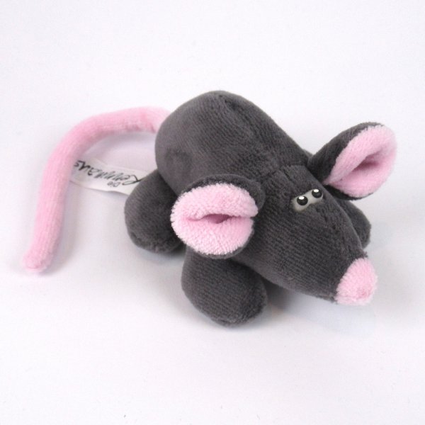Maus Rennmaus