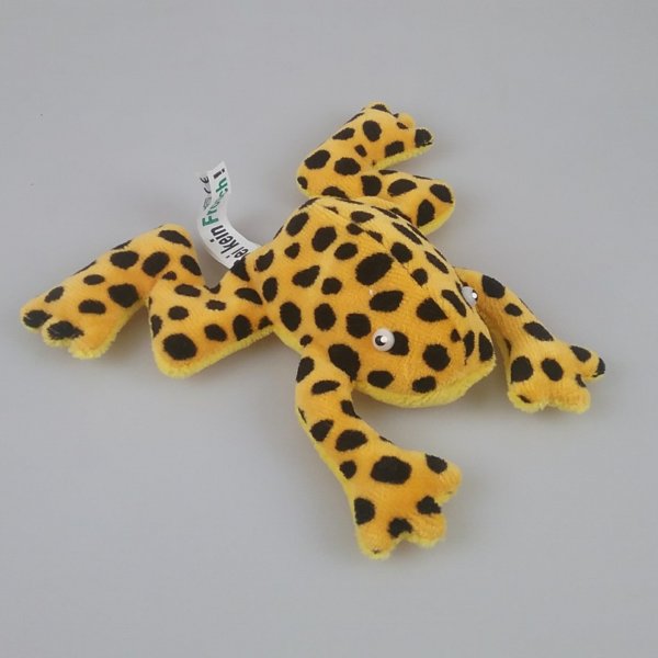 Frosch Jungtier