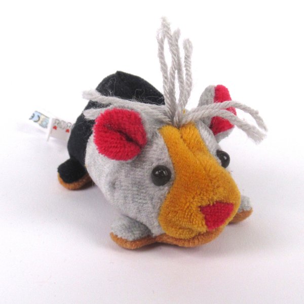 Meerschweinchen Jungtier