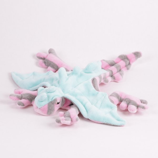 Drachengecko