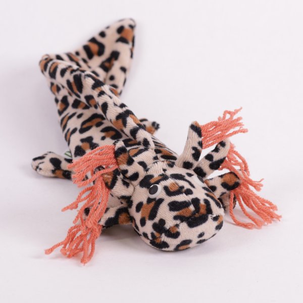 Axolotl - Atze Theke