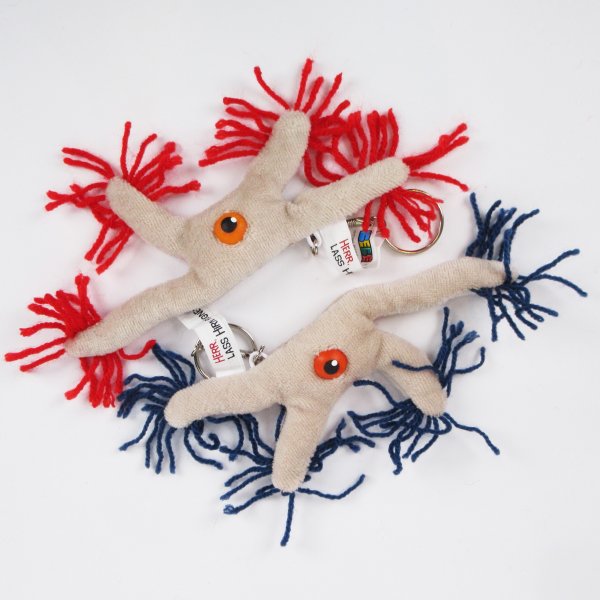 Gehirnzelle Anhänger