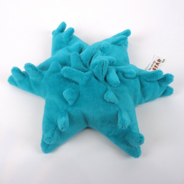 Sack des Monats November - Seestern