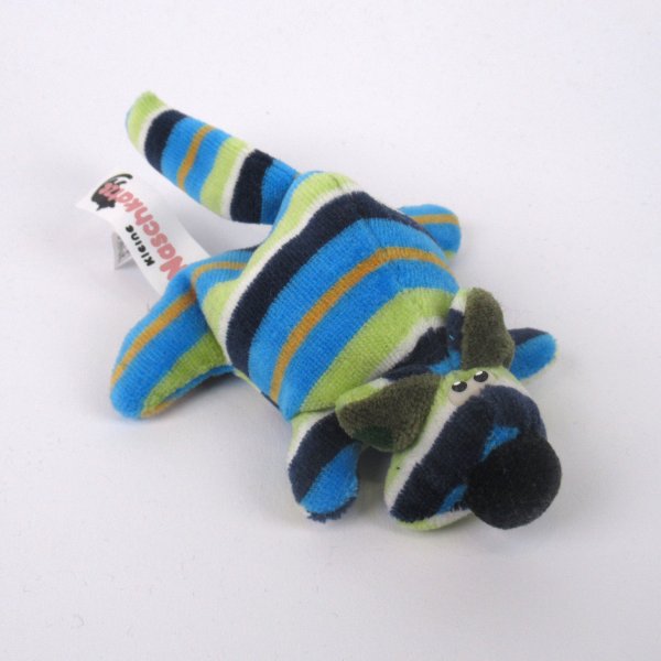 Katze Jungtier - Naschkatze