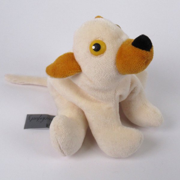 Chihuahua - Mein Schnuckiputz