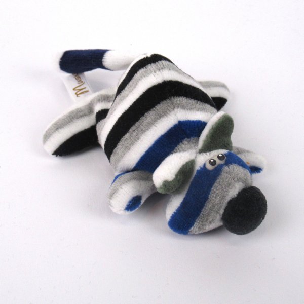 Kater Muskelkater Jungtier