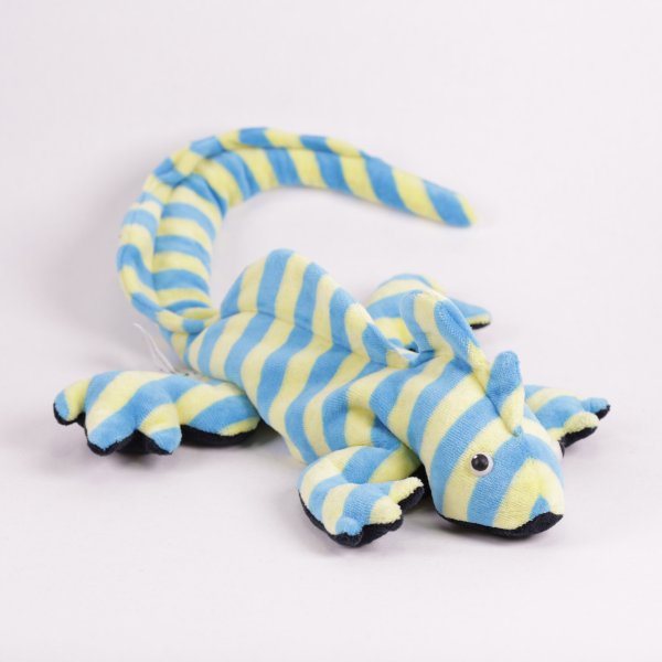 Leguan