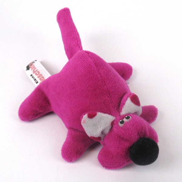 Katze Jungtier - Naschkatze