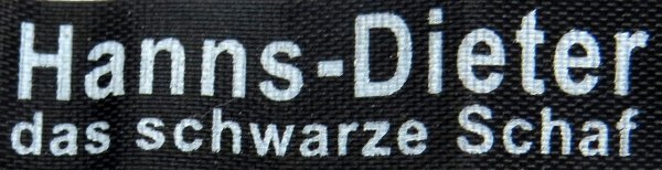 Schaf Jungtier