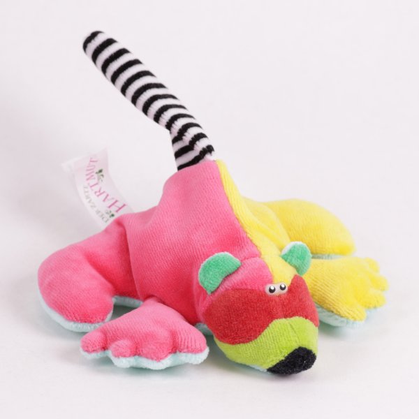 Waschbär - der zarte Hartmut - Rainbow-Style