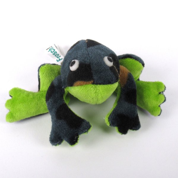 Frosch Jungtier