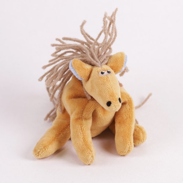 Pferd Jungtier - Ronny das Pony