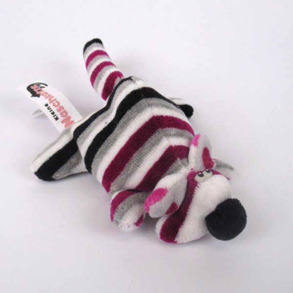 Katze Jungtier - Naschkatze