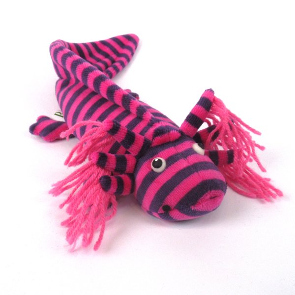 Axolotl - Atze Theke