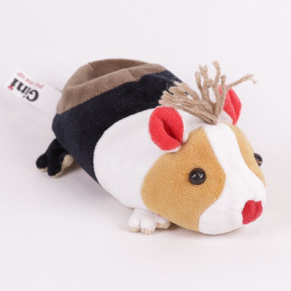Meerschweinchen