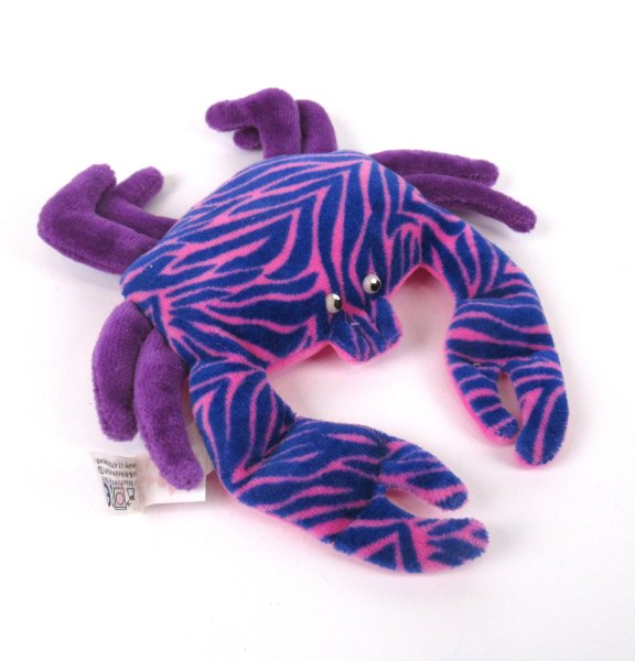 Taschenkrebs - Ich krebs so rum!