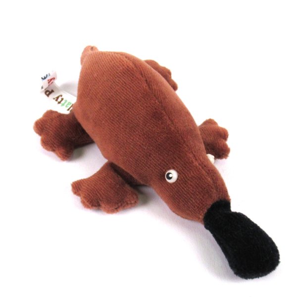 Schnabeltier Jungtier