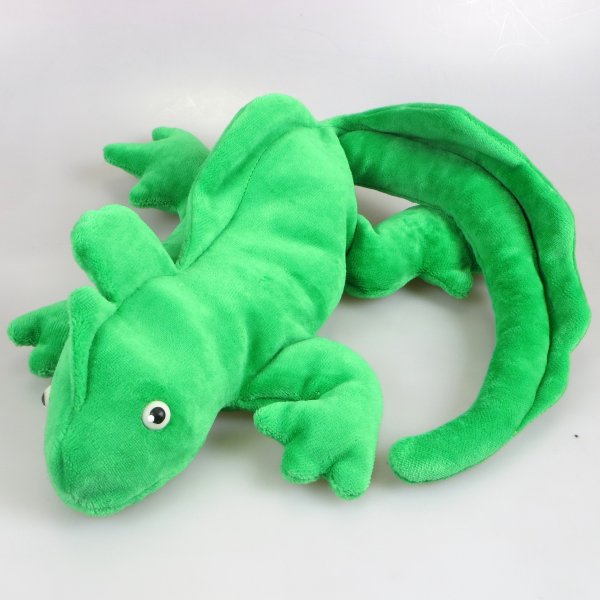 Leguan