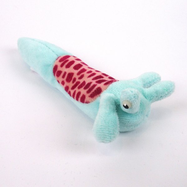 Nacktschnecke