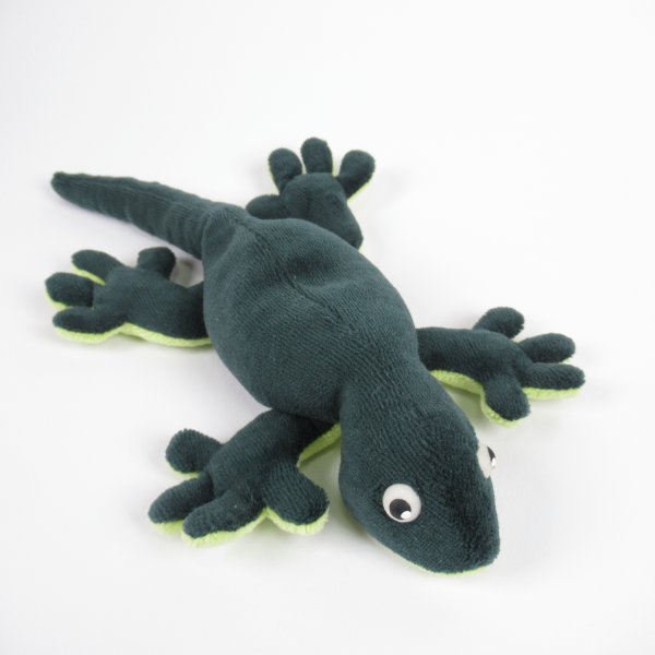 Gecko