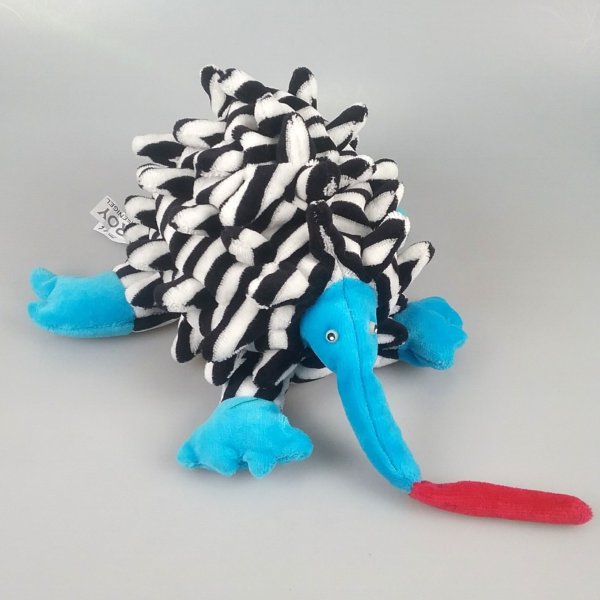 Ameisenigel oder Echitna