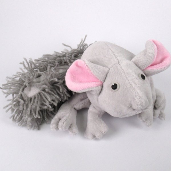 Chinchilla Kimchiller