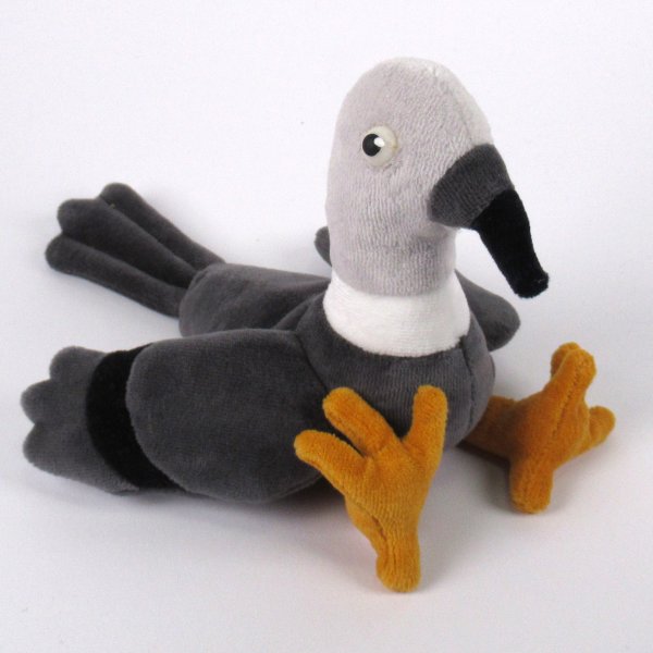 Taube - Laura Chantal die taube Taube