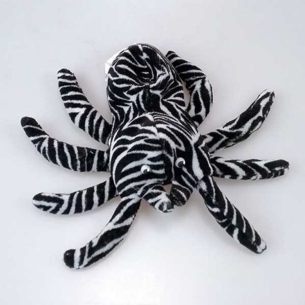 Spinne | S | A - Z | Perlsacktiere | Perlsacktiere.de